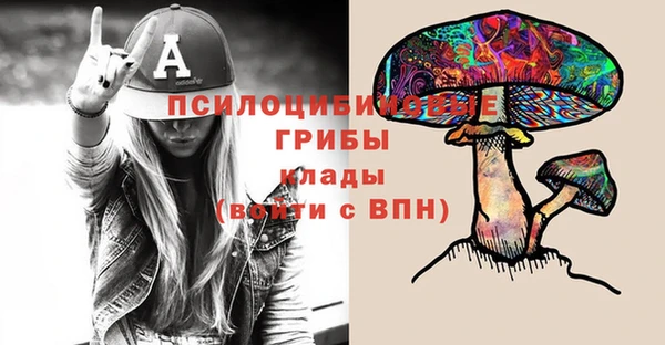 дмт Березники
