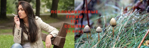 дмт Березники