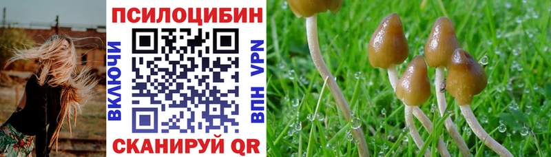 как найти   Нефтеюганск  ОМГ ОМГ ONION  Псилоцибиновые грибы Cubensis 