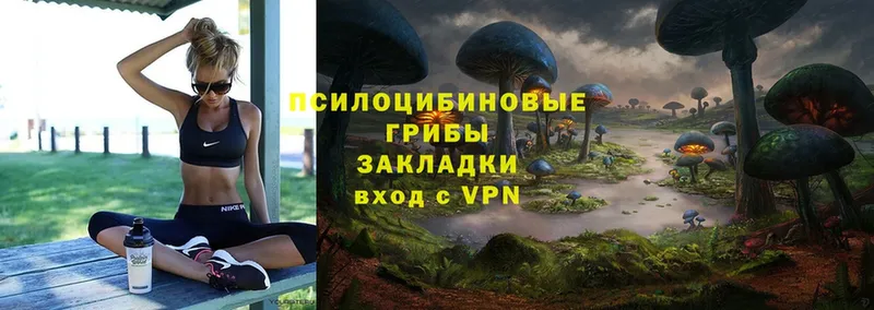 Псилоцибиновые грибы Psilocybe  Нефтеюганск 